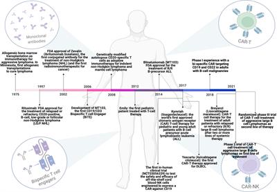 CD19-Targeted Immunotherapies for Diffuse Large B-Cell Lymphoma